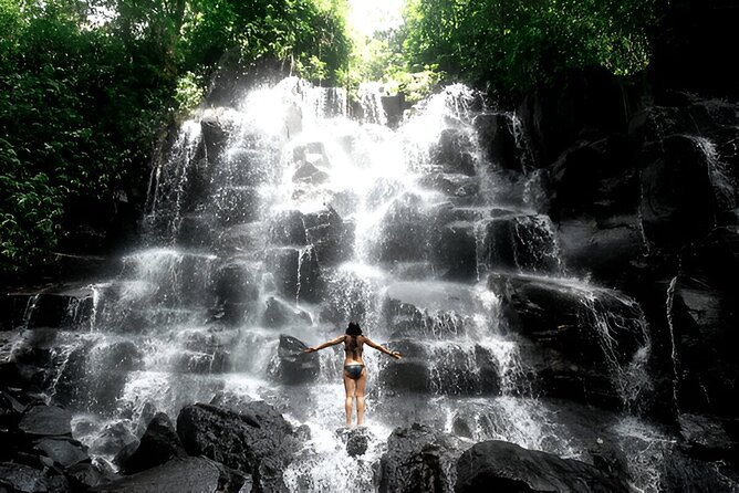 Private Ubud Instagrammable Tour - All Inclusive - Why this private Ubud day works well