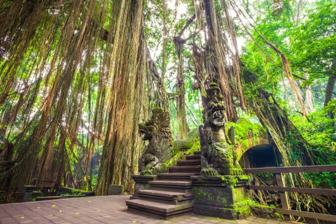 Private Ubud Tour: Monkey Forest, Waterfall & Rice Terrace - Tegenungan Waterfall: Tropical Scenery And Stairs