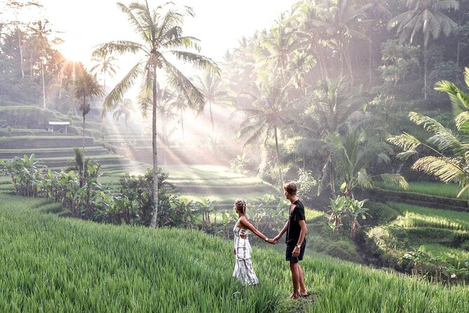 Private Ubud Tour: Monkey Forest, Waterfall & Rice Terrace - Celuk And Bali’s Local Art Traditions