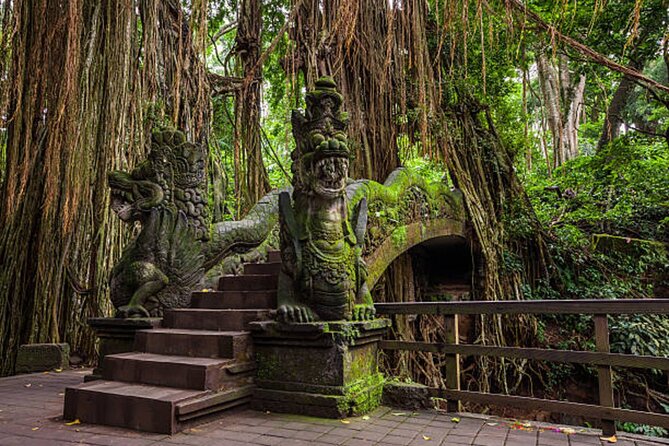 Private Ubud Tour: Monkey Forest, Waterfall & Rice Terrace - Extra Ubud Sights If Time Allows