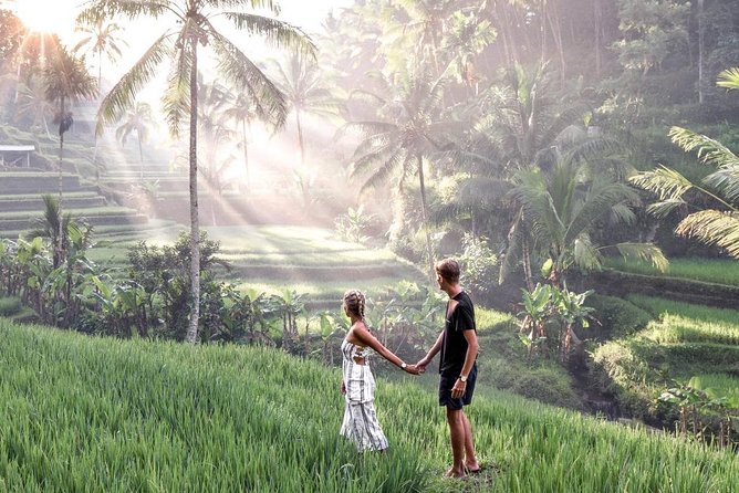 Private Ubud Tour Package - A full Ubud day from Kuta