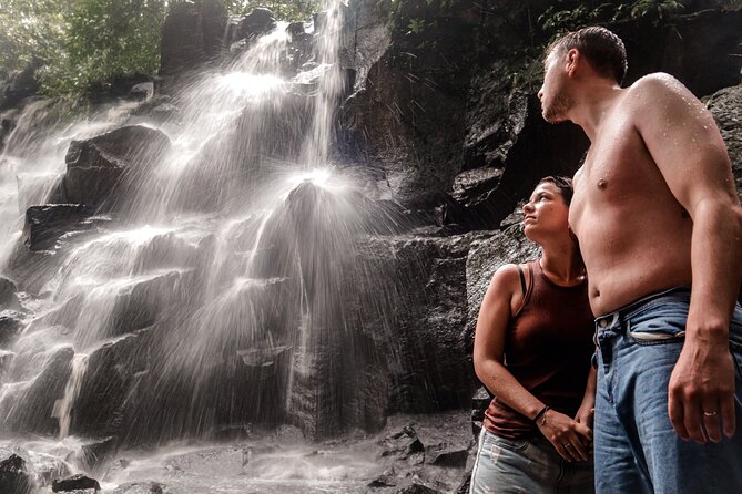 Private Ubud Tour: Waterfall, Rice Terrace & Monkey Forest - What this Ubud day is really designed to do
