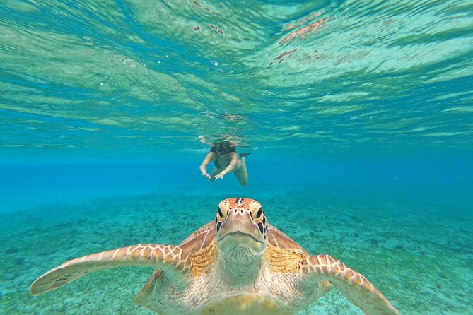 Public Snorkeling 3 Islands - Key Points Before You Book