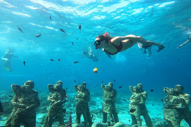 Public Snorkeling 3 Islands - Blue Coral as the Final Water Stop