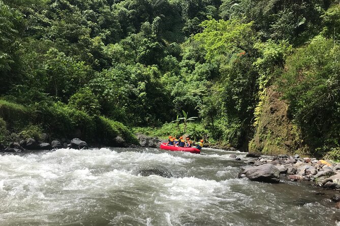 Rafting Adventure 18 km and Balinese Village Life Tour with Lunch - What Makes the Rafting Scenery Special