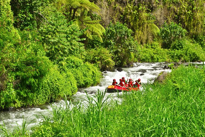 Rafting Adventure 18 km and Balinese Village Life Tour with Lunch - Private Touring and Guide Quality