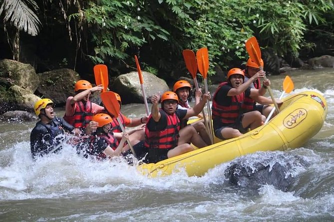 Rafting Swing Monkey Forest And Waterfall Tour All Inclusive - What this seven-hour Bali day is really designed to do