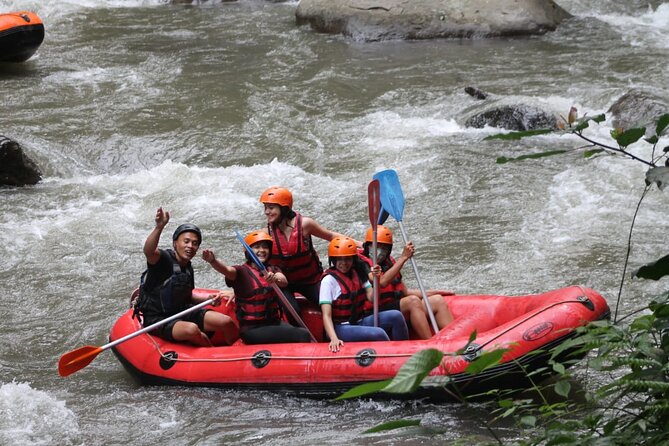 Rafting Swing Monkey Forest And Waterfall Tour All Inclusive - Payung Rafting Bali and the Ayung River