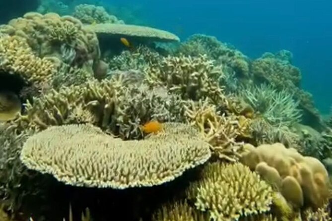 Rangko Cave & Beach Snorkeling Half Day Sharing Trip Labuan Bajo - Amelia Hill for views, sunrise, or sunset