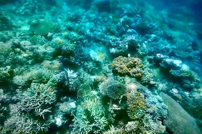 Rangko Cave & Beach Snorkeling Half Day Sharing Trip Labuan Bajo - Timing, departure choices, and the order of stops