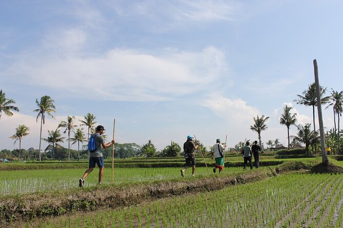 Rural Charm of Bali Tour - Why this Bali village tour feels different