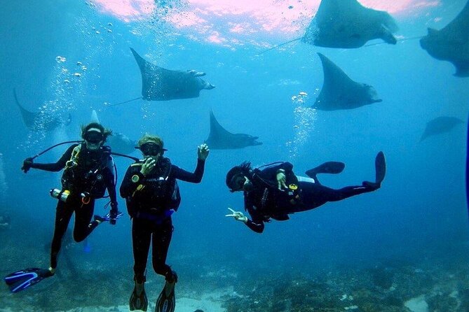 Sanur Open Water Course learn diving in 3 Days - Get certified & Dive everywhere - Day two: two sessions in Sanur Bay