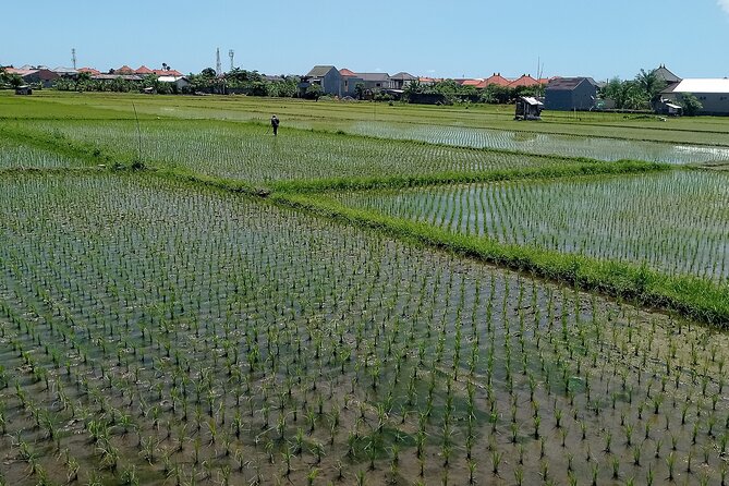 Sanur Village E-bike Tour: Family-Friendly Adventure - Is $46.48 a fair price?