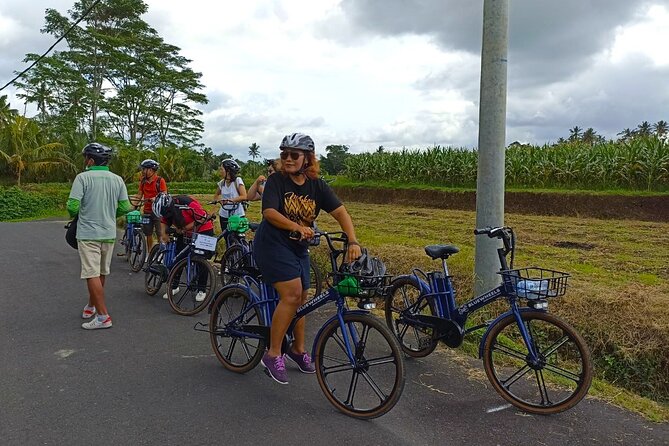 Sanur Village E-bike Tour: Family-Friendly Adventure - E-bikes make a flat Sanur route easier