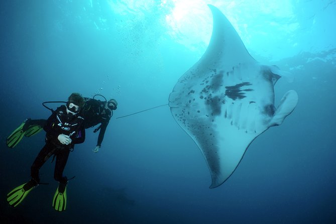 Scuba Diving Nusa Penida Manta Point 3 dives for certified divers - Manta Point: the day’s headline stop