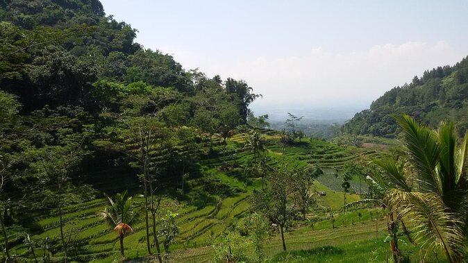 Selogriyo Temple and Trekking Java Rice Terraces, hidden waterfall -Nature Java - Key points at a glance