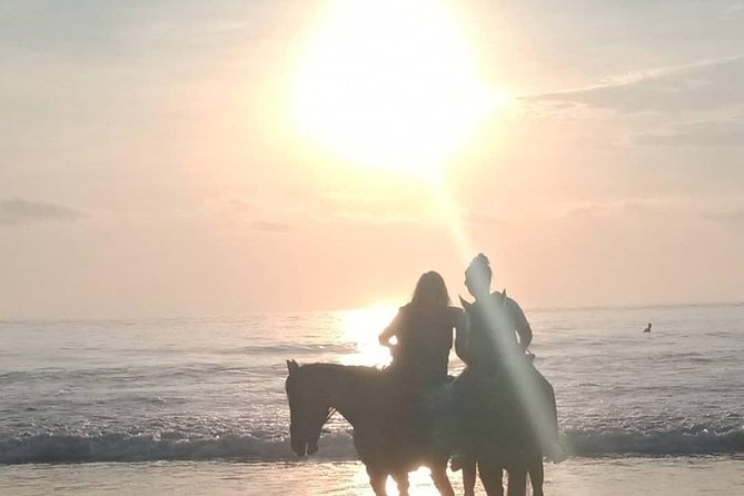 Seminyak Beach Bali Horse Riding - Is $63.95 good value for one hour?