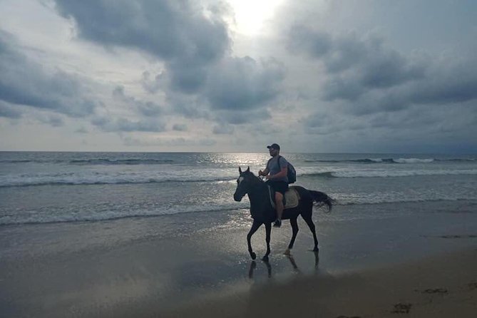 Seminyak Beach Bali Horse Riding - Who should book this beach ride?