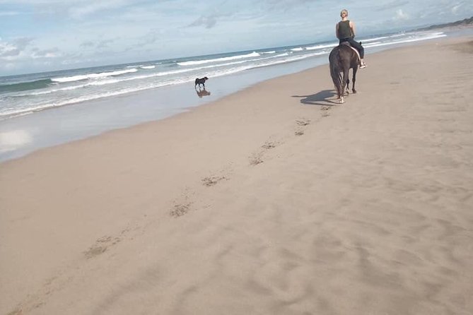 Seminyak Beach Bali Horse Riding - Sunset, photographs, and the best time to go