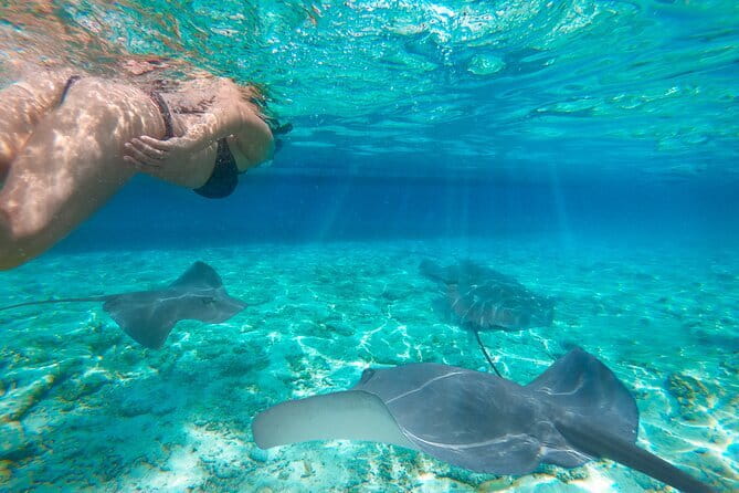 Shared Trip Sailing Komodo 3D2N - Is $800 good value for two people?