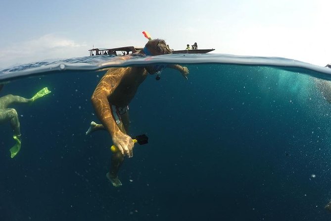 Sharing Snorkeling Trip Gili islands Depart Lombok/Gili Trawangan - First stop at Gili Meno: coral and colorful fish