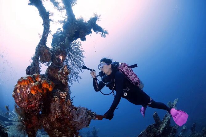 Shipwreck Diving in Tulamben - Snacks, surface time, and the included lunch