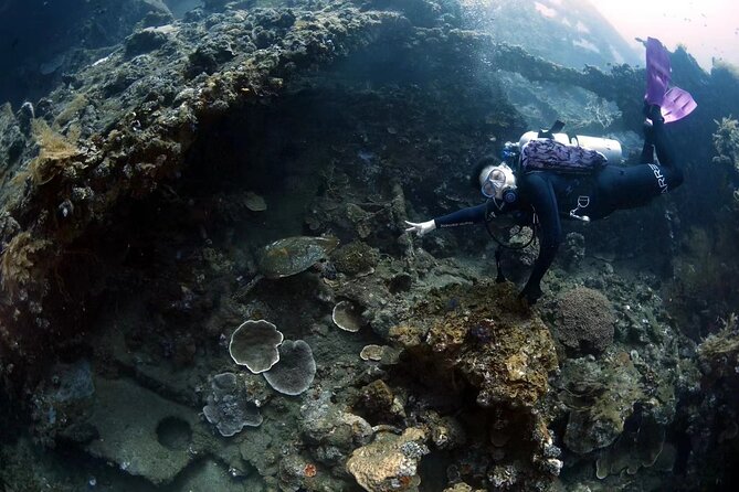 Shipwreck Diving in Tulamben - Who will get the most from this trip