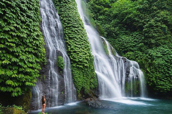 Shore Excursion Cruise Ship From Celukan Bawang Port - Banjar Hot Springs, a welcome change of pace