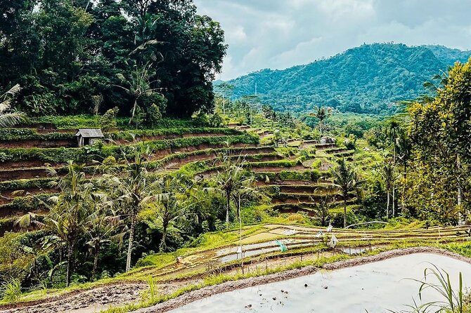 Sidemen Trekking: A Walk from a Different Perspective - Starting at Pasar Sidemen before the fields