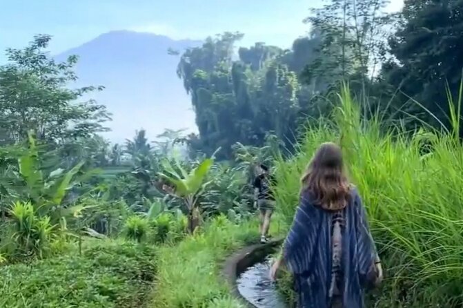 Sidemen Trekking: A Walk from a Different Perspective - Rice terraces, crops, and the work behind the view