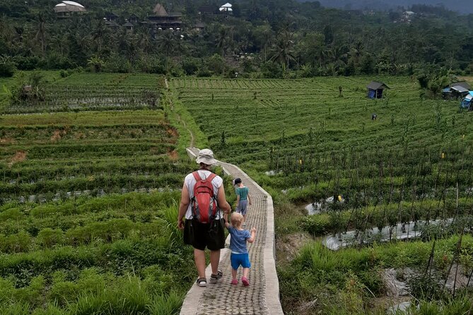 Sidemen Trekking Through Rice Terraces and Villages - Key points at a glance