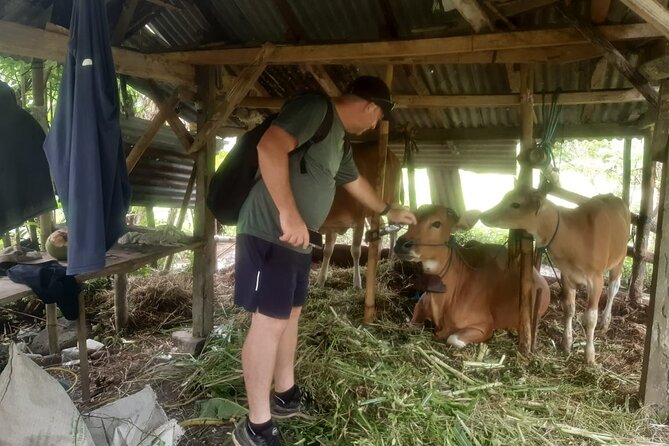 Sidemen Trekking Through Rice Terraces and Villages - The Mount Agung viewpoint