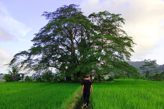 Sidemen Trekking with Cultural Encounters and Nature Views - Key points at a glance