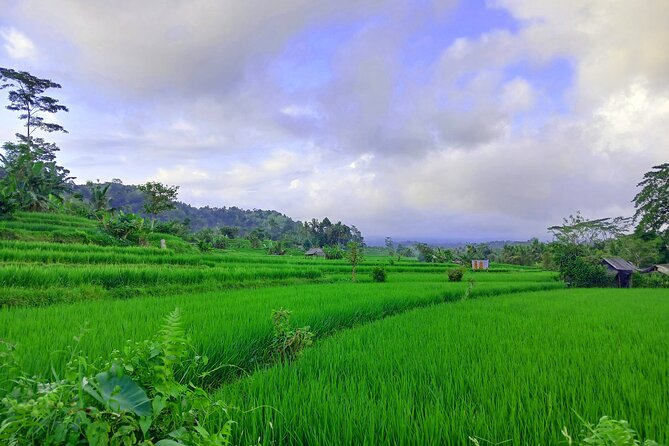 Sidemen Trekking with Cultural Encounters and Nature Views - Selisian Views and Mount Agung