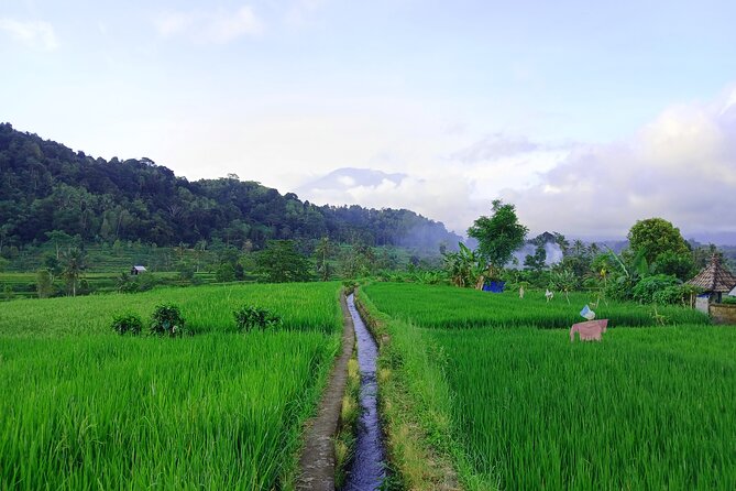 Sidemen Trekking with Cultural Encounters and Nature Views - What to wear and what to carry