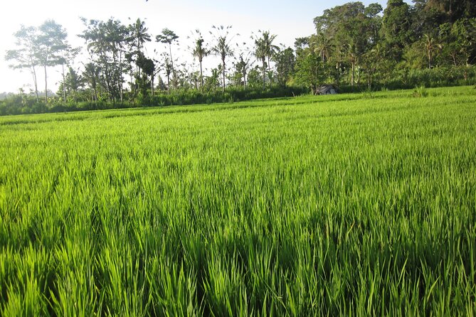 Sidemen Trekking with Cultural Encounters and Nature Views - Pura Dalem Desa Adat Dukuh Sakti