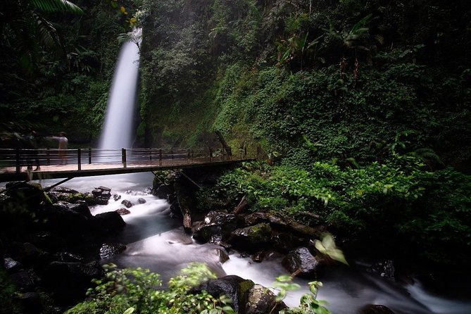 Situ Gunung Waterfall & Suspension Bridge Sukabumi start Jakarta - Wildlife, flowers, and the value of a private guide