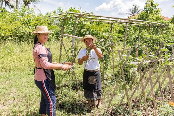 Small-Group Farm Tour & Balinese Cooking Class in Ubud with Kadek - Starting With a 30 to 45 Minute Farm Walk