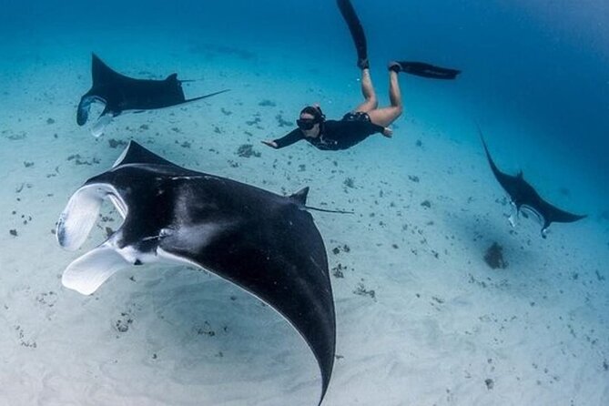 Snorkeling 4 Spot With Manta Bay Or Optional Land Trip - Four Water Stops in About Two Hours