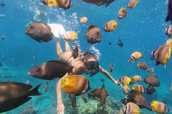 Snorkeling 4 Spot With Manta Bay Or Optional Land Trip - Crystal Bay: A Calm Finish, When Conditions Allow