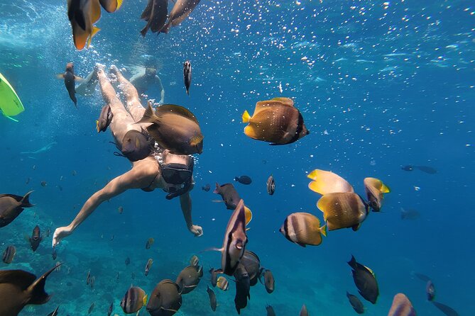 Snorkeling 4 Spot With Manta Bay Or Optional Land Trip - What the $14.14 Price Really Gets You