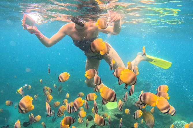 Snorkeling 4 Spot With Manta Bay Or Optional Land Trip - Starting at Banjar Nyuh and Using the Fastboat