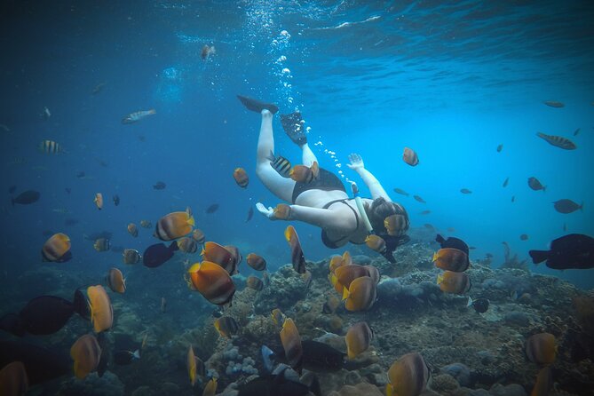 Snorkeling 4 Spots, Manta Rays, Tembeling Pool & Kelingking Beach - Tembeling Pool, Beach, and Forest