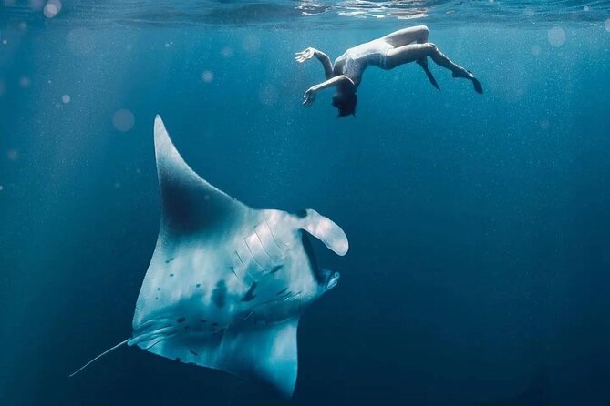 Snorkeling 4 Spots, Manta Rays, Tembeling Pool & Kelingking Beach - Manta Bay: Beautiful Water, No Promise of Rays