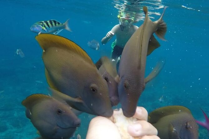 Snorkeling Adventure with East Nusa Penida Tour All Inclusive - Five hours around Nusa Penida