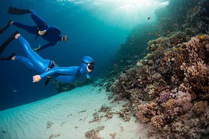 Snorkeling and Freediving Trip around Nusa Penida - What the $60 Nusa Penida trip is really offering