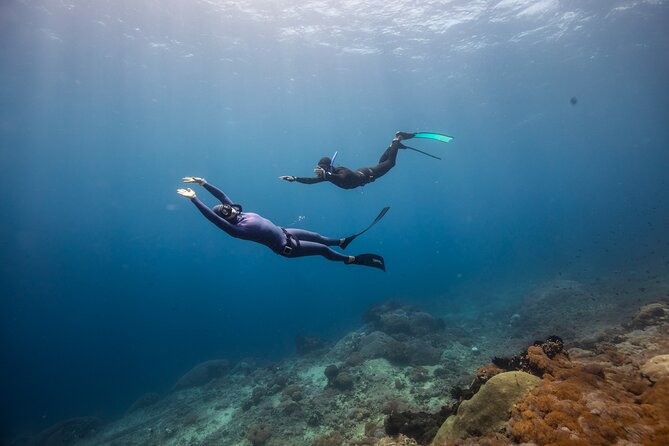 Snorkeling and Freediving Trip around Nusa Penida - Is the schedule really an early start?