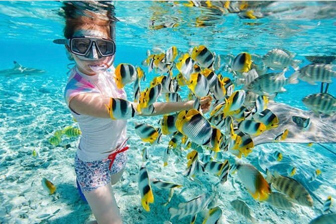 Snorkeling At Blue lagoon And Hidden waterfall - The best parts of the day