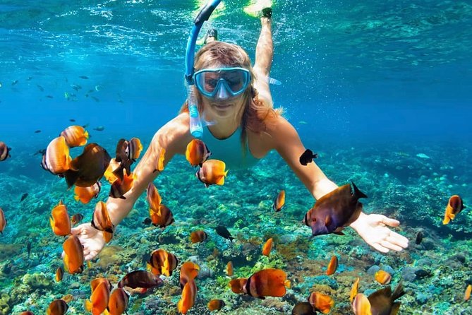 Snorkeling At Blue lagoon And Hidden waterfall - Starting from Seminyak for an East Bali sea day