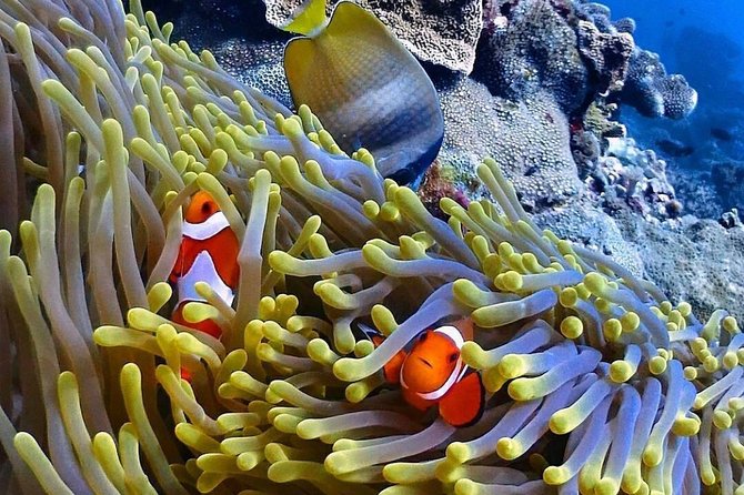 Snorkeling At Blue lagoon And Hidden waterfall - Balinese lunch gives the schedule a needed pause